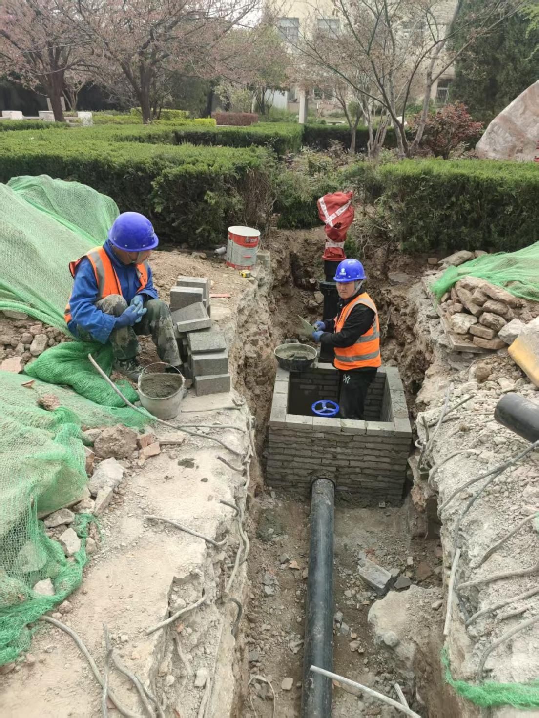 b789e2135b48bda9acb255519ee0cfd