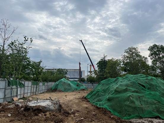 绿色的树 AI 生成的内容可能不正确。